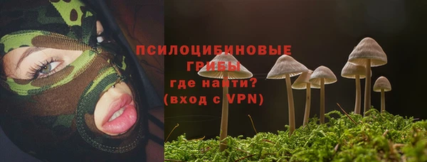 тгк Нефтекумск