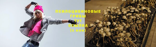 крисы Навашино