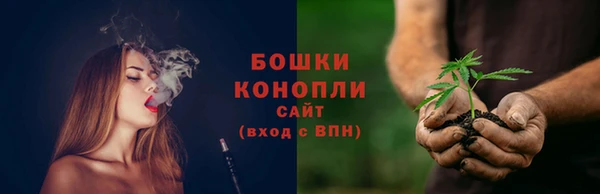 трава Наволоки