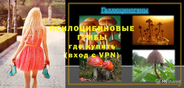 скорость Нея