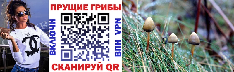 Галлюциногенные грибы ЛСД Ртищево