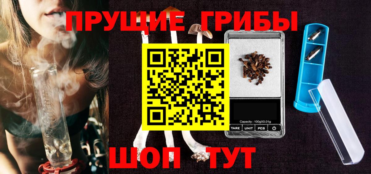 Галлюциногенные грибы GOLDEN TEACHER  где купить   Ртищево  Вход с VPN 